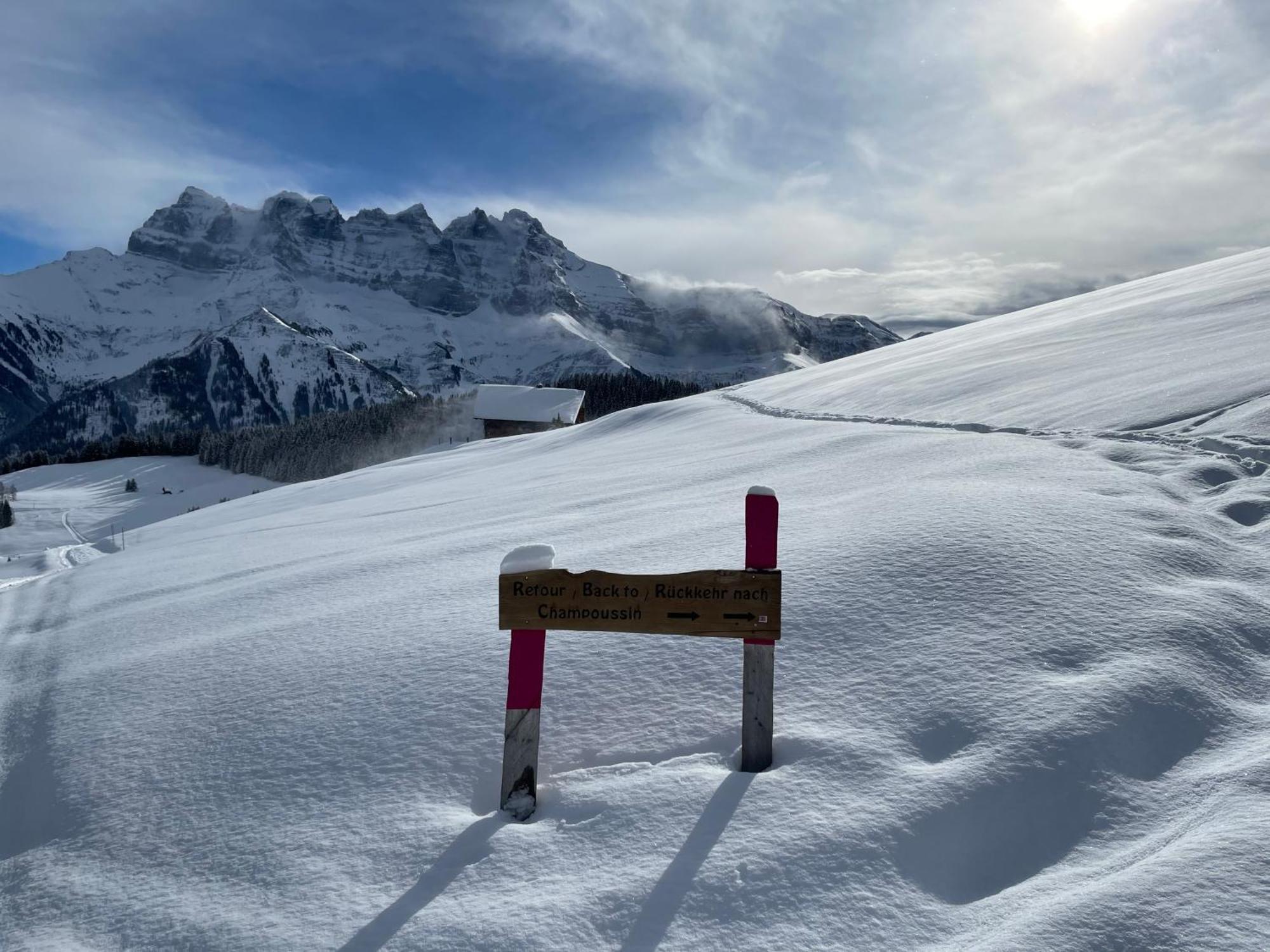 Chalet Montriond - Bike & Ski Ле-Крозет Екстер'єр фото