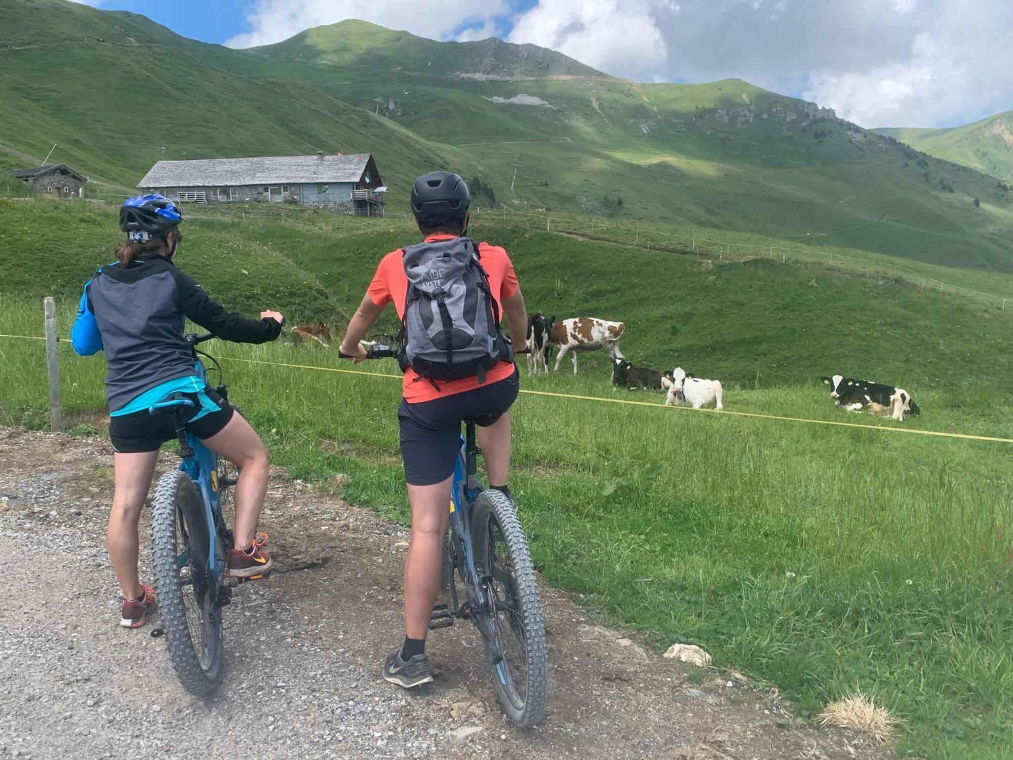 Chalet Montriond - Bike & Ski Ле-Крозет Екстер'єр фото